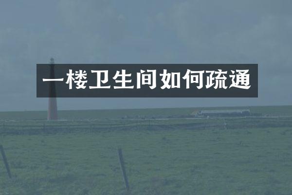 一楼卫生间如何疏通