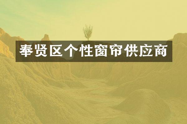 奉贤区个性窗帘供应商