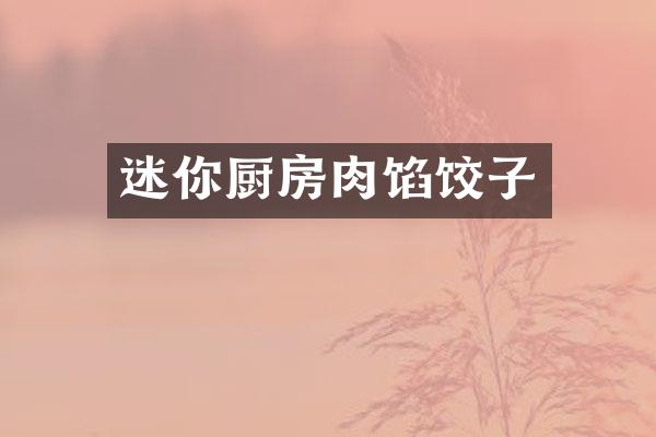 迷你厨房肉馅饺子