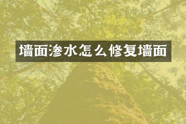 墙面渗水怎么修复墙面