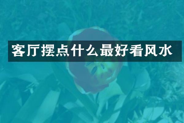 客厅摆点什么最好看风水