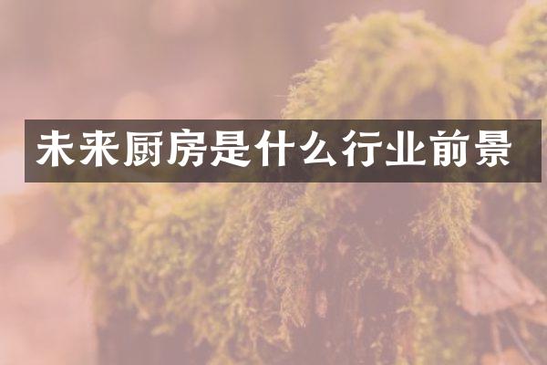 未来厨房是什么行业前景