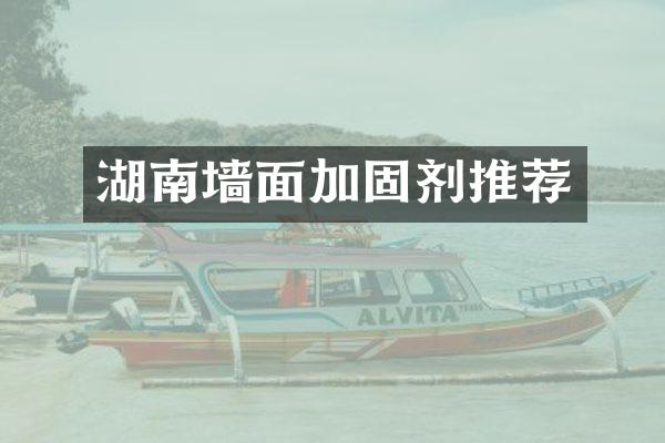 湖南墙面加固剂推荐