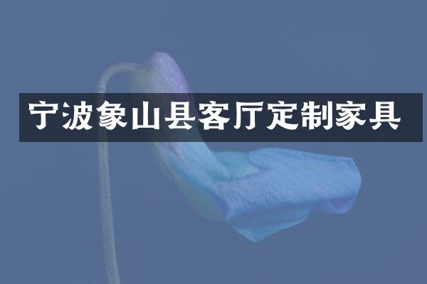 宁波象山县客厅定制家具