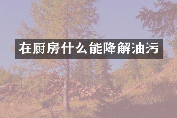 在厨房什么能降解油污