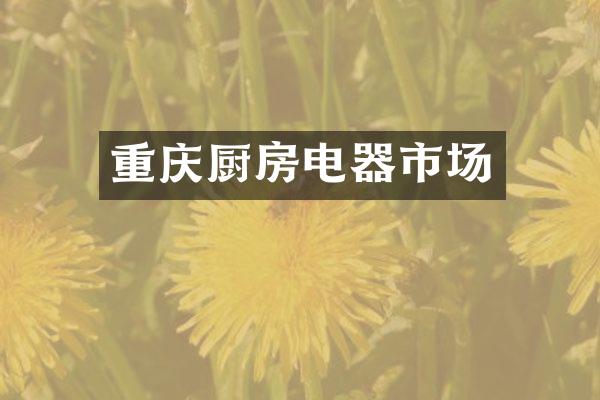 重庆厨房电器市场
