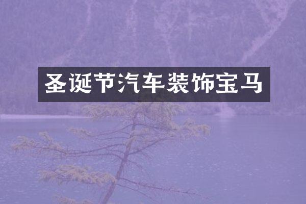 圣诞节汽车装饰宝马