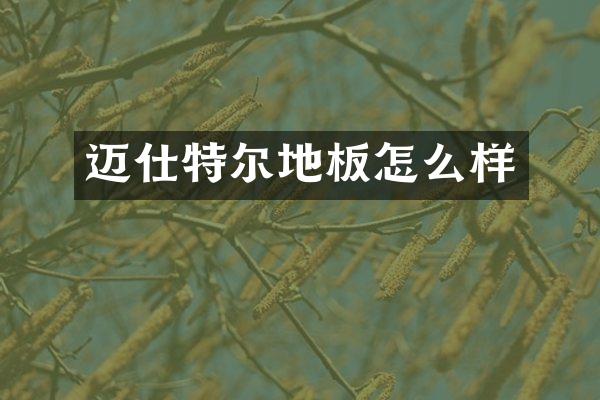 迈仕特尔地板怎么样