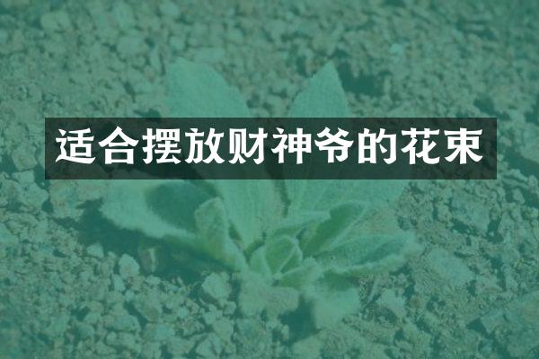 适合摆放财神爷的花束
