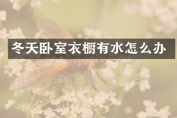 冬天卧室衣橱有水怎么办