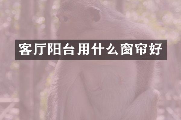 客厅阳台用什么窗帘好
