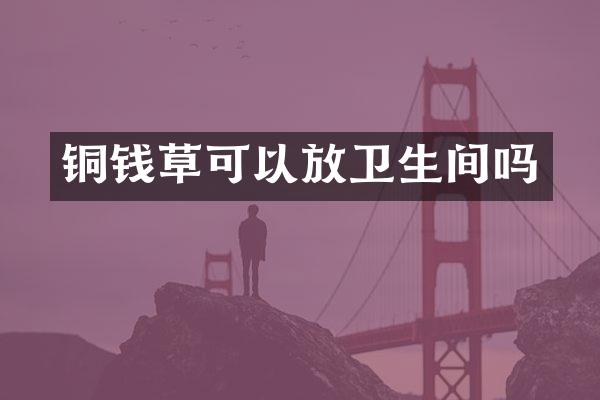 铜钱草可以放卫生间吗