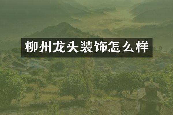 柳州龙头装饰怎么样