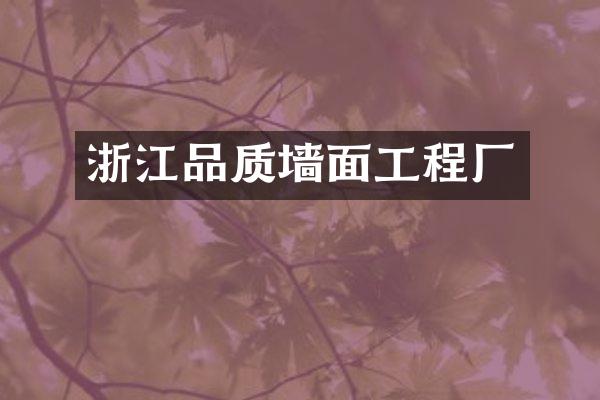 浙江品质墙面工程厂