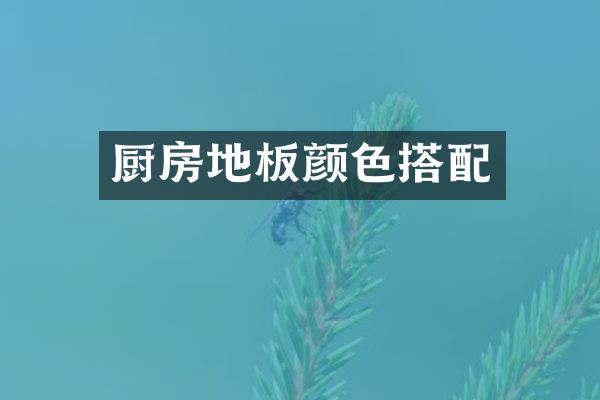 厨房地板颜色搭配