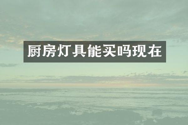 厨房灯具能买吗现在