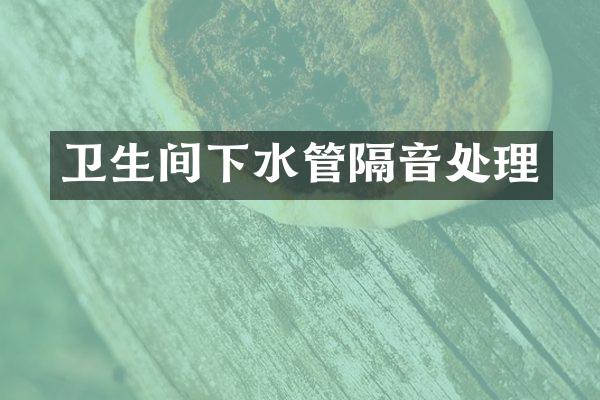 卫生间下水管隔音处理