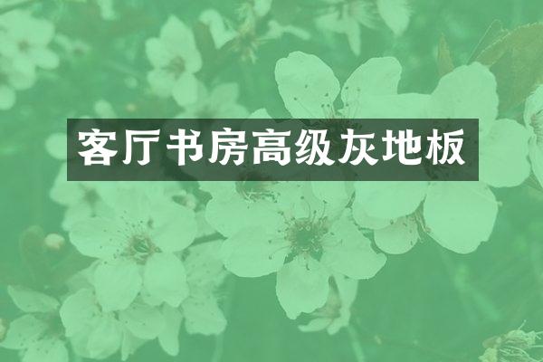 客厅书房高级灰地板