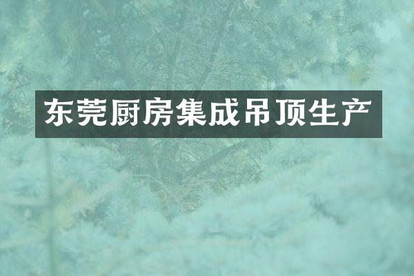 东莞厨房集成吊顶生产