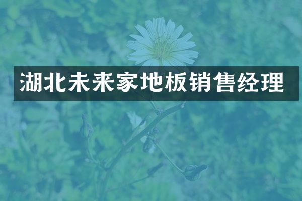 湖北未来家地板销售经理