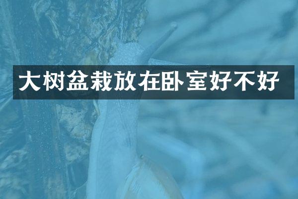 大树盆栽放在卧室好不好
