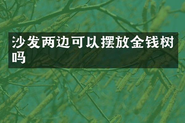 沙发两边可以摆放金钱树吗