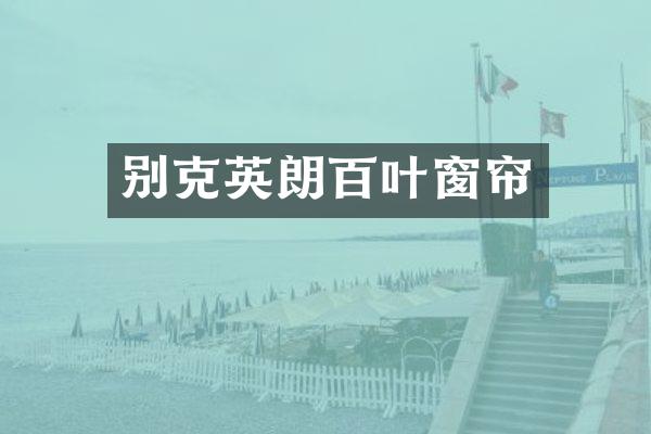 别克英朗百叶窗帘