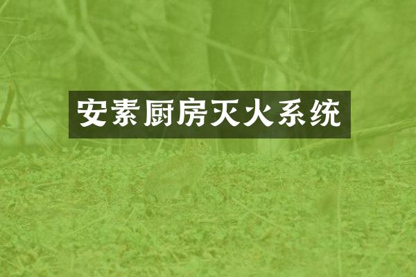 安素厨房灭火系统