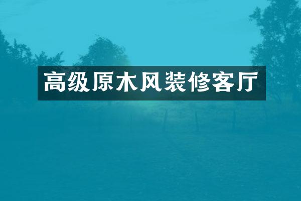 高级原木风装修客厅