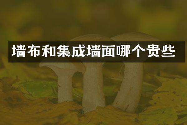 墙布和集成墙面哪个贵些