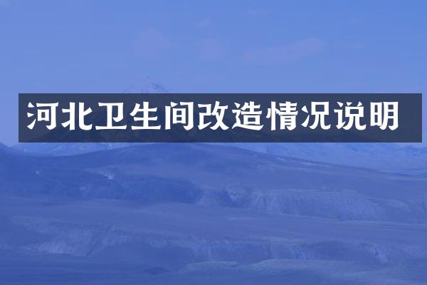 河北卫生间改造情况说明