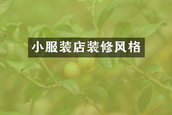 小服装店装修风格