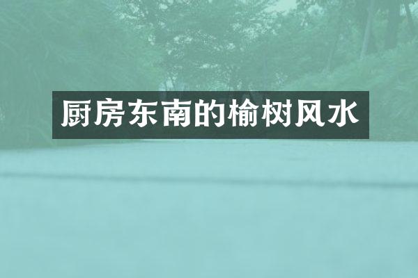厨房东南的榆树风水