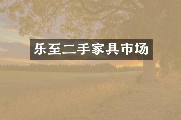 乐至二手家具市场