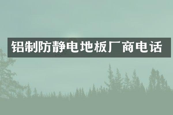 铝制防静电地板厂商电话