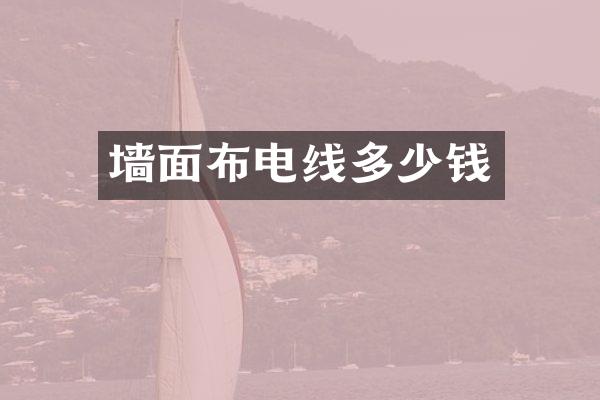 墙面布电线多少钱