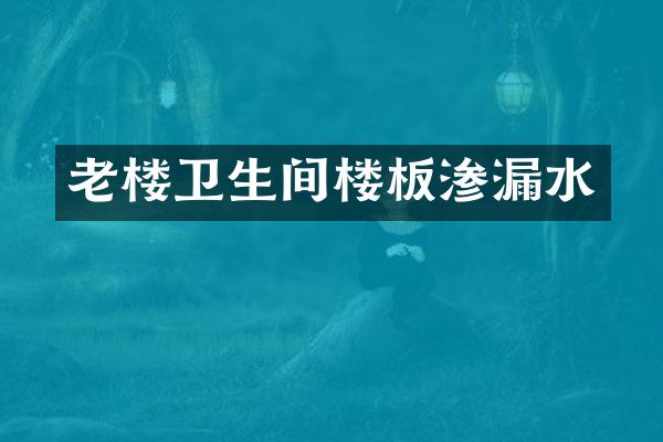 老楼卫生间楼板渗漏水
