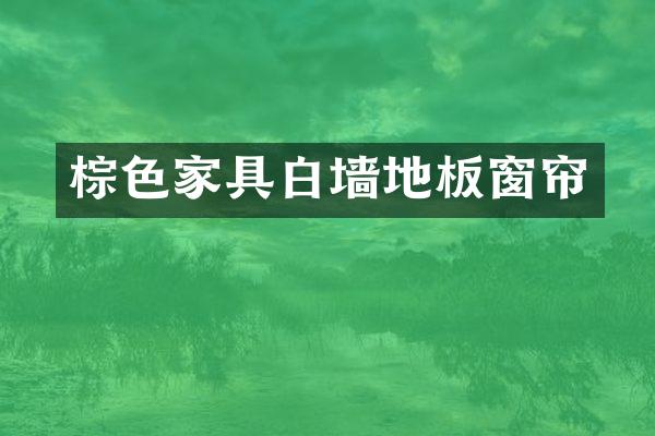 棕色家具白墙地板窗帘