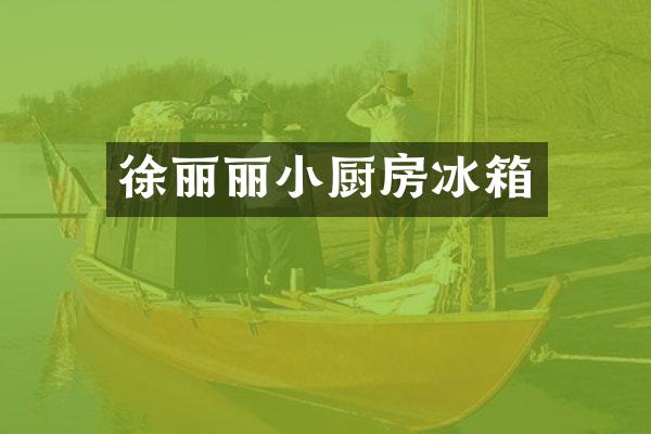 徐丽丽小厨房冰箱