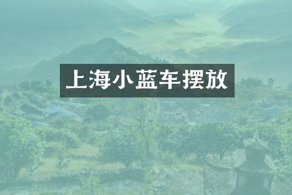 上海小蓝车摆放