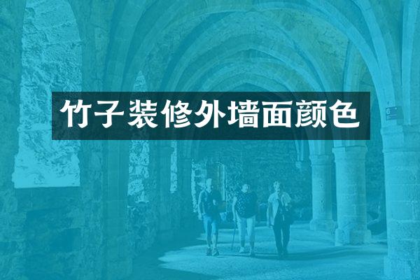 竹子装修外墙面颜色