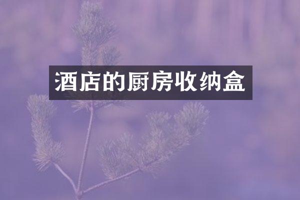 酒店的厨房收纳盒