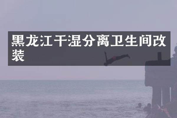 黑龙江干湿分离卫生间改装