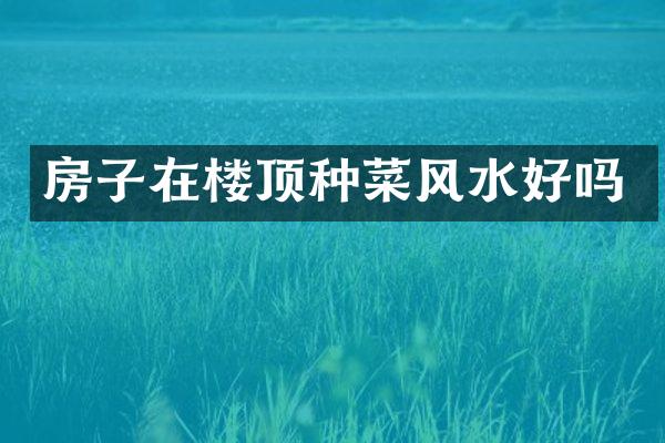 房子在楼顶种菜风水好吗