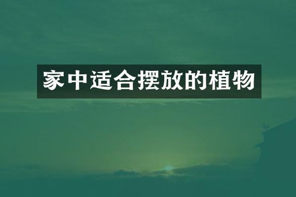 家中适合摆放的植物