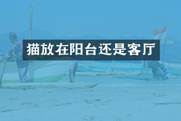 猫放在阳台还是客厅