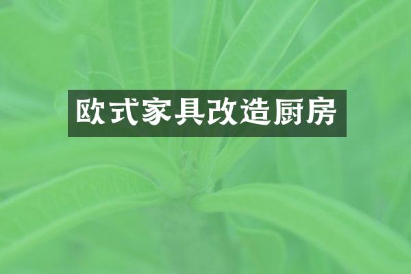 欧式家具改造厨房