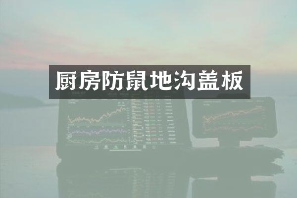 厨房防鼠地沟盖板