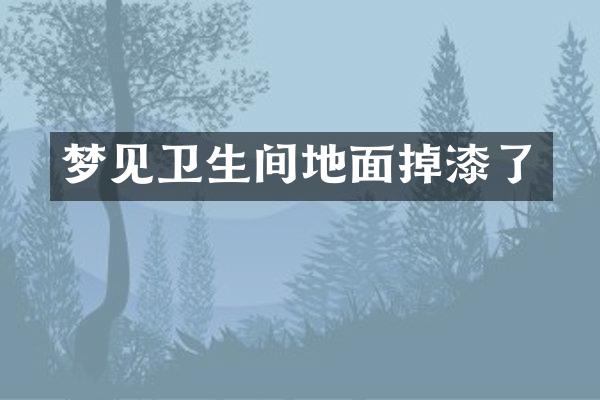 梦见卫生间地面掉漆了