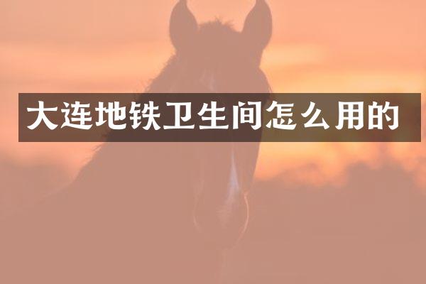 大连地铁卫生间怎么用的